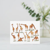 "GIRAFFE" POSTCARD POSTKARTE (Stehend Vorderseite)