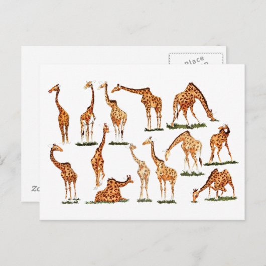 "GIRAFFE" POSTCARD POSTKARTE (Vorne/Hinten)