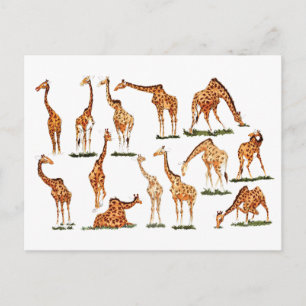 "GIRAFFE" POSTCARD POSTKARTE