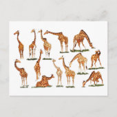"GIRAFFE" POSTCARD POSTKARTE (Vorderseite)