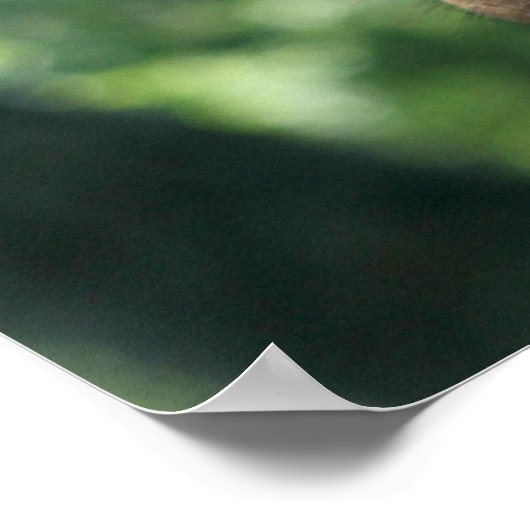 Giraffe Poster (Ecke)