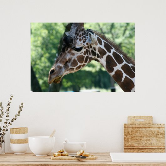 Giraffe Poster (Küche)