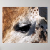 GIRAFFE POSTER (Vorne)