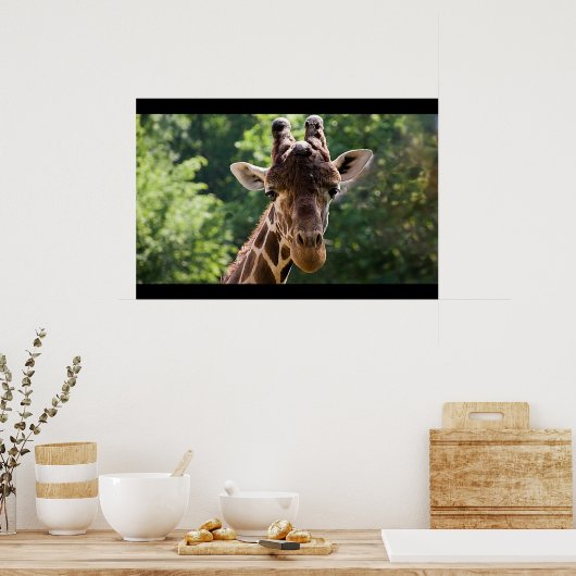 Giraffe Poster (Küche)