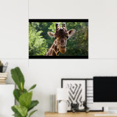 Giraffe Poster (Heimbüro)