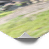 Giraffe Poster (Ecke)