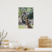 Giraffe Poster (Küche)