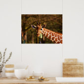 Giraffe Poster (Küche)