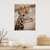 Giraffe Poster (Küche)