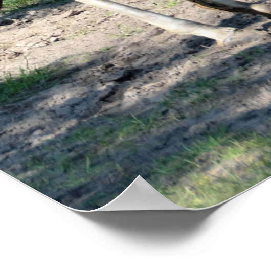 Giraffe Poster (Ecke)