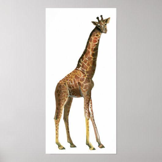 Giraffe Poster (Vorne)