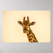 GIRAFFE POSTER (Vorne)