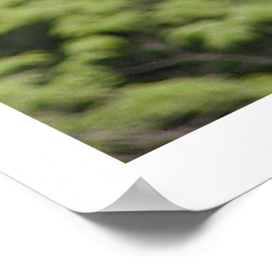 Giraffe Poster (Ecke)