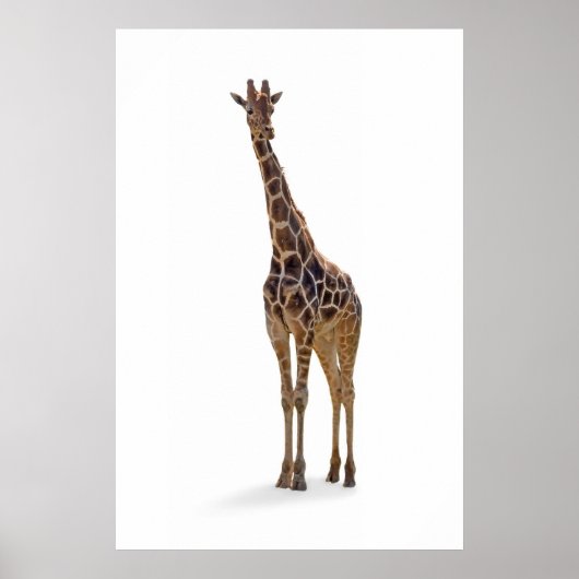 Giraffe Poster Print (Vorne)