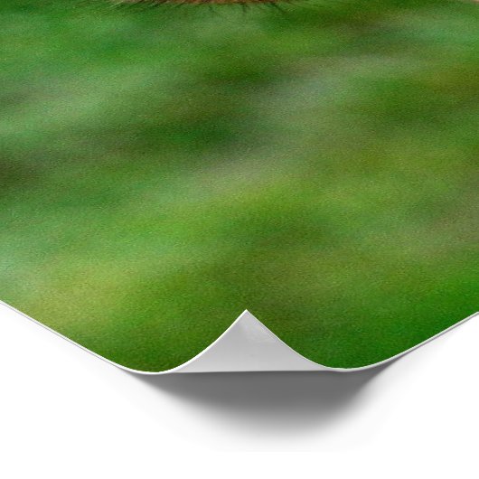 Giraffe Poster Print (Ecke)