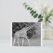 giraffe postkarte (Stehend Vorderseite)