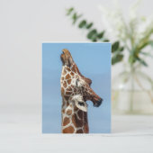 Giraffe Postkarte (Stehend Vorderseite)