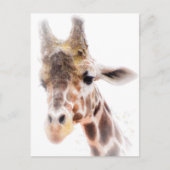 Giraffe Postkarte (Vorderseite)