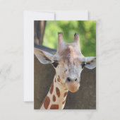 Giraffe Postkarte (Vorderseite)