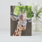 Giraffe Postkarte (Stehend Vorderseite)