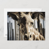 Giraffe Postkarte (Vorne/Hinten)