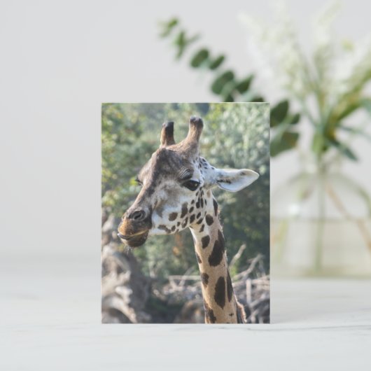 Giraffe Postkarte (Stehend Vorderseite)