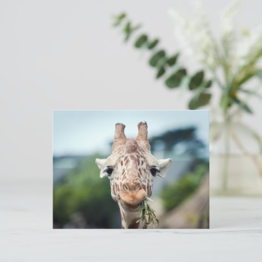 Giraffe Postkarte (Stehend Vorderseite)