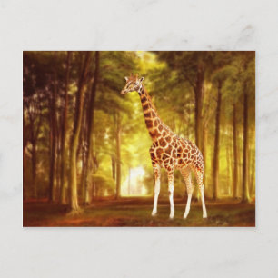 Giraffe Postkarte