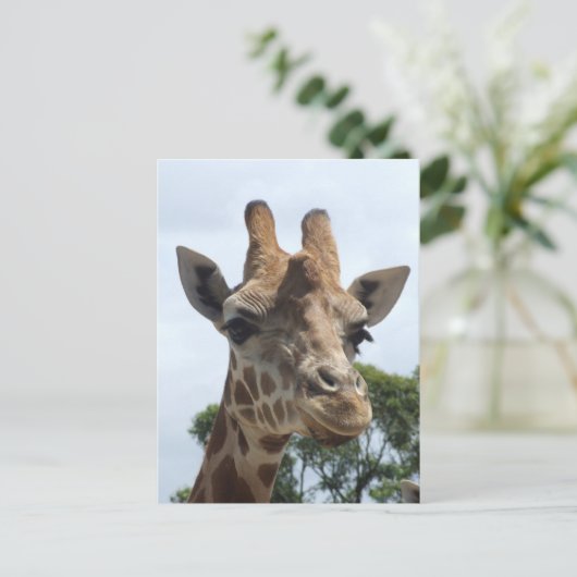 Giraffe Postkarte (Stehend Vorderseite)