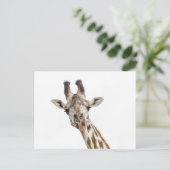 Giraffe Postkarte (Stehend Vorderseite)