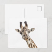 Giraffe Postkarte (Vorne/Hinten)