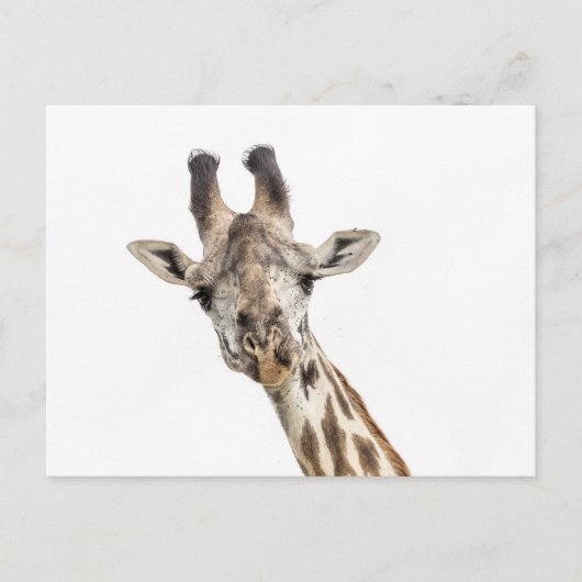 Giraffe Postkarte (Vorderseite)