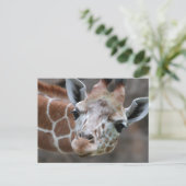 Giraffe Postkarte (Stehend Vorderseite)
