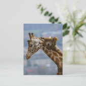 Giraffe Postkarte (Stehend Vorderseite)