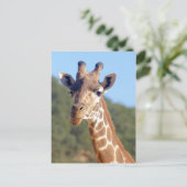 Giraffe Postkarte (Stehend Vorderseite)