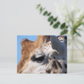 GIRAFFE POSTKARTE (Stehend Vorderseite)