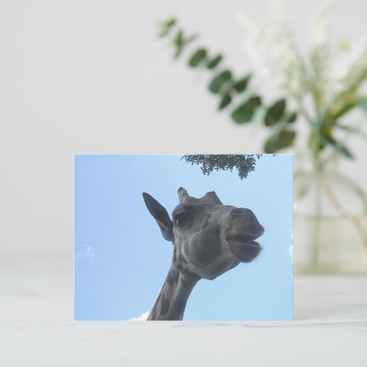 Giraffe Postkarte (Stehend Vorderseite)