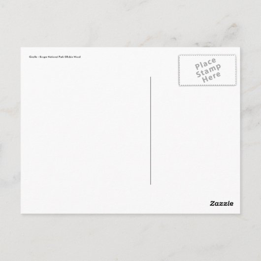 Giraffe Postkarte (Rückseite)