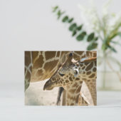 Giraffe ・ Postkarte (Stehend Vorderseite)