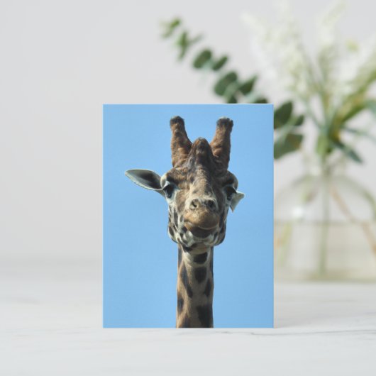 GIRAFFE POSTKARTE (Stehend Vorderseite)