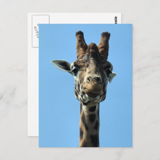 GIRAFFE POSTKARTE (Vorne/Hinten)