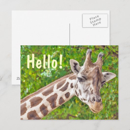 Giraffe Postkarte (Vorne/Hinten)