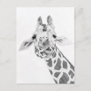 Giraffe Postkarte
