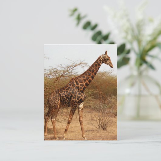 Giraffe Postkarte (Stehend Vorderseite)