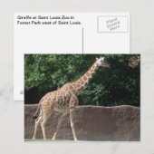 Giraffe Postkarte (Vorne/Hinten)