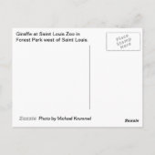 Giraffe Postkarte (Rückseite)
