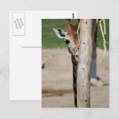 Giraffe Postkarte (Vorne/Hinten)