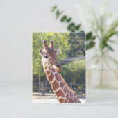 Giraffe Postkarte (Stehend Vorderseite)