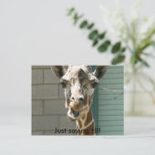 Giraffe Postkarte (Stehend Vorderseite)