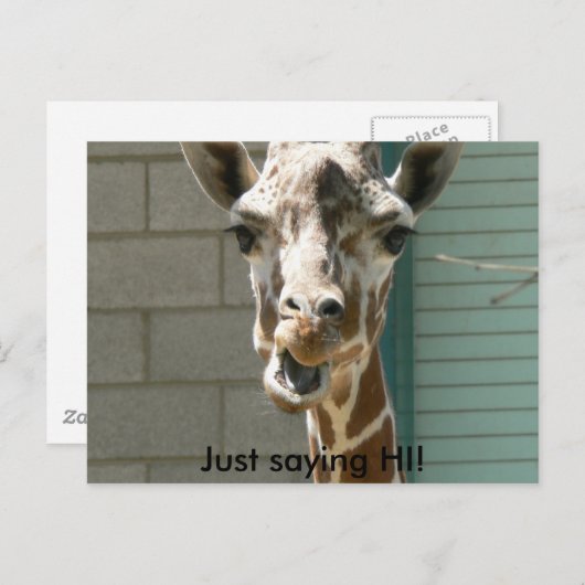 Giraffe Postkarte (Vorne/Hinten)